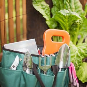 Ultimate Garden Tool Kit