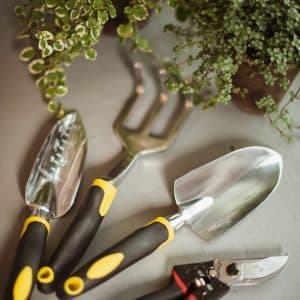 Just the Basics Tool Set
