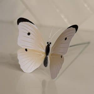 Cabbage Moth Decoy