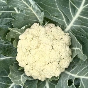 Cauliflower