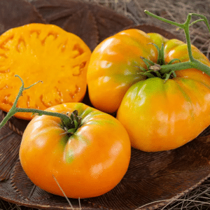 Kentucky Beefsteak