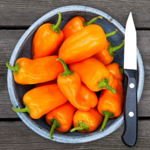 Mini Orange