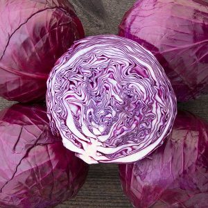 Purple Cabbage