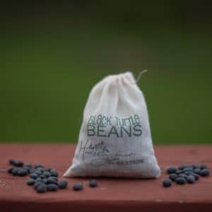 Black Bean Seed