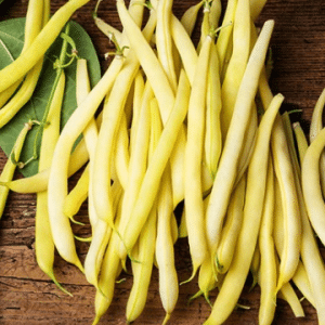 Wax Bean Seeds