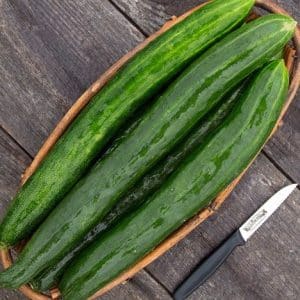 Tasty Green