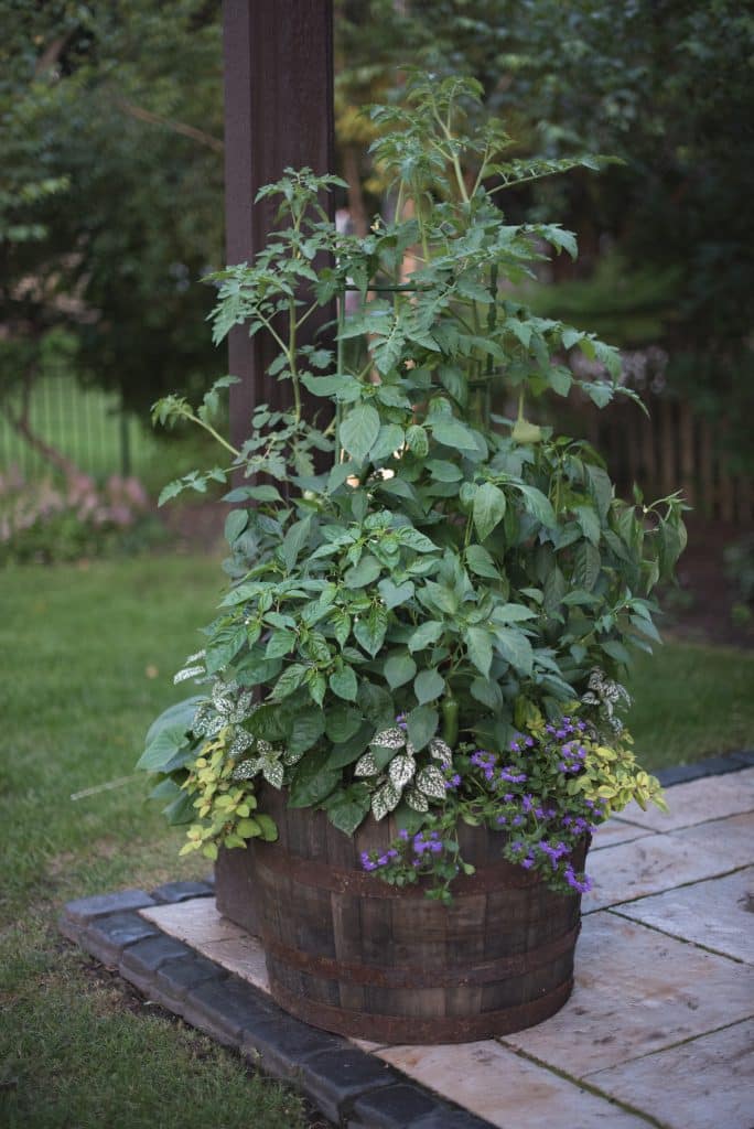 Container Gardening