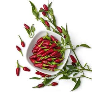 Thai Red Chili